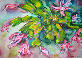 Christmas Cactus in July